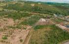 Teren intravilan 1,163mp de vânzare în Săldabagiu De Munte - 8