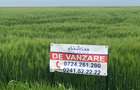 Teren 17.000mp Costinesti - zona Manastire - 100 euro/mp (Cod E2) - 9