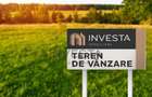 Oportunitate de investitie/Teren si hala - 1