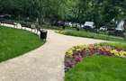 APARTAMENT 2 CAMERE - MALL PLAZA ROMANIA - 6