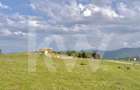 Teren 1003 mp în Păltiniș | Priveliște panoramică către munți - 1