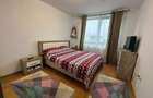Apartament 2 camere superb de vanzare in zona Pacii - terasa  vedere libera - 9