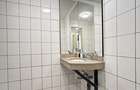 Ultracentral, spatiu comercial 490 mp. - 14