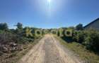 OPORTUNITATE | TEREN | SNAGOV TANCABESTI | CASA | 1000 MP | INVESTITIE - 2