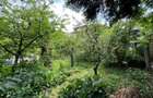 0 % comision, Casa cu 394 mp teren situata in zona Belvedere - 14