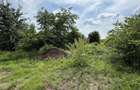 Teren intravilan 498,02 mp langa pădure , strada privata Corbeanca - 7