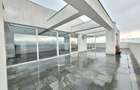 Penthouses de inchiriat, 200 mp. utili + 60mp. terasa - Mihai Viteazu - 5
