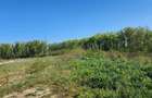 Teren 18 hectare pentru exploatare nisip și pietriș | Șcheia, r&# - 6