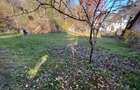 Vand teren intravilan in Bran - 2