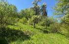 TEREN CU VEDERE PANORAMICA IN CENTRUL ISTORIC AL BRASOVULUI - 3