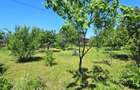 RARA AVIS! Teren 1550 mp, deschidere 31 m, zona Ferme, Otopeni - 1