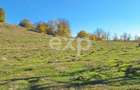 Vand Teren in Curtea de Arges suprafata 5000mp - 4