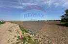 Teren 545,000mp Dragomiresti-Vale - 7