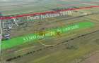 TEREN INVESTITIONAL CIOCANESTI-DAMBOVITA - 3