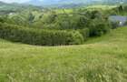 Teren inconjurat de natura de vanzare in Pestera - 11