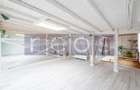 INCHIRIERE VILA CADEREA BASTILIEI | 240MP | PRETBAIL BIROU | PARCARE - 8