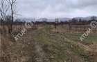 Teren intravilan de 2679 mp in Porumbacu de Sus din Sibiu - 3