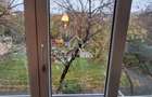 Apartament 3 camere decomandat Militari Uverturii + parcare - 600 EUR - 15