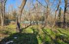 Neptun - Teren construibil in Padurea Comorava - 5