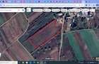 Teren agricol, 1HA, Marsa, Giurgiu - 4