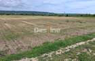 Teren Extravilan de Vânzare – Mărăcineni, Sat Argeșelu - 4
