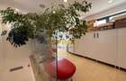 2 camere birou/ Muncii/ Agricultori/ sala sedinte/ utilitati incluse in chirie - 12