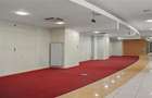 Inchiriere spatiu comercial Pantelimon - Piata Delfinului, Bucuresti - 12