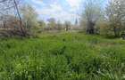 Teren intravilan 1000 mp | Ultracentral | Toate utilitățile | Alba Iulia - 1