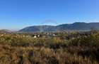 Teren 6,874mp Alexandru cel Bun / Strada plopusor - 14