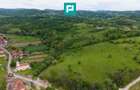Proprietate de poveste pe Valea Mureșului, Lupești - 4