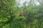 Vila de vanzare cu 6 camere in Cornu (teren 6.600 mp) - 51