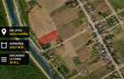 Teren cu deschidere la canal în Letea – 2.557 mp | Delta Dunării | - 8
