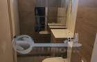 Apartament cu 2 camere, renovat complet, Tudor Vladimirescu – Bucsinescu - 7