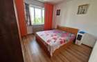 Vanzare Apartament 3 Camere Dristor- Vitan - 3