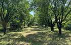 Teren intravilan 1915mp de vanzare zona Tocile (Sibiu) 16,5m deschidere - 6