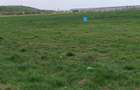 Teren intravilan 35.000 mp – Șag - 6