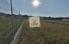 Teren intravilan 3500 mp zona Hamba - 9