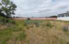 Royal Imobiliare - Vanzare Spatiu Industrial zona Exterior Est - 14