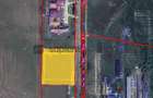 Teren Intravilan 1 ha – Acces Drum Asfalt | Ideal Rezidențial - 5