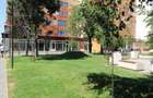 Spațiu Comercial, 250 mp, Municipiul Târgu-Jiu - 2