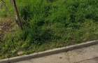 Valea Lupului pe str Victorie colt cu Str Soarelui TEREN 603mp intravilan - 2