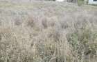 Vand teren in Iris - 2