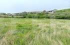 Teren intravilan, 1075 mp, utilitati in zona, Dezmir - 4