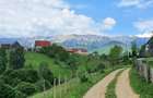 Teren pentru casa de vacanta , Pestera , Brasov - 15