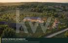 Teren intravilan 7.979 mp | ideal glamping, pensiune sau investiție | Mureș - 4