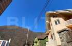 Vila 7 camere, 750mp-teren, BAILE HERCULANE - 1