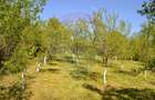 Casă / Vilă de vânzare Picior de Munte, Dambovita - 22