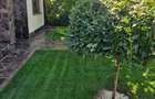 Fundulea – Vila individuala  P+1 cu teren 1000 mp - 7