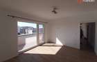 Penthouse cu 2 camere + terasa 45 mp - zona Mehala - 3