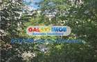 Apartament 3 Camere Dristor COD 253 - 3
